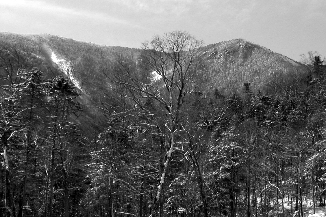 Живописная природа ливадийского хребта. г. Фалаза (Литовка). Высота 1280м.